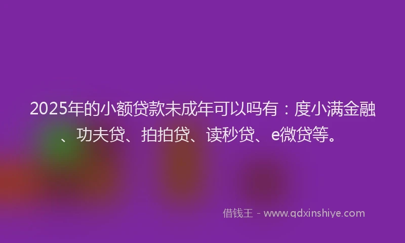 2025年的小额贷款未成年可以吗有：度小满金融、功夫贷、拍拍贷、读秒贷、e微贷等。