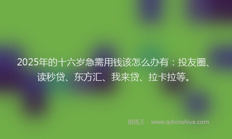 2025年的十六岁急需用钱该怎么办有：投友圈、读秒贷、东方汇、我来贷、拉卡拉等。