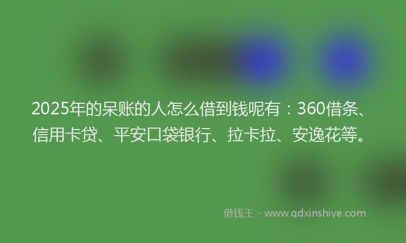 2025年的呆账的人怎么借到钱呢有：360借条、信用卡贷、平安口袋银行、拉卡拉、安逸花等。