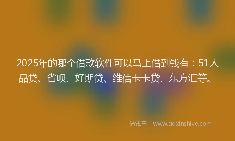 2025年的哪个借款软件可以马上借到钱有：51人品贷、省呗、好期贷、维信卡卡贷、东方汇等。