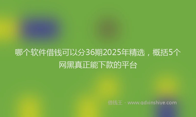 哪个软件借钱可以分36期2025年精选，概括5个网黑真正能下款的平台