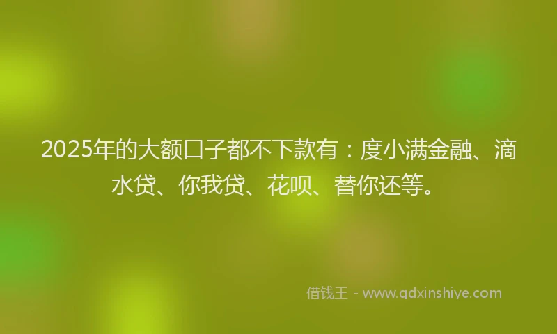 2025年的大额口子都不下款有：度小满金融、滴水贷、你我贷、花呗、替你还等。