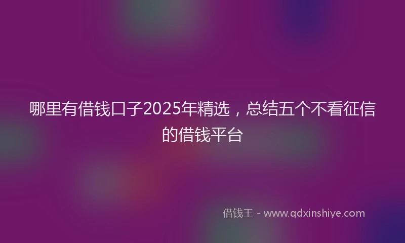 哪里有借钱口子2025年精选，总结五个不看征信的借钱平台