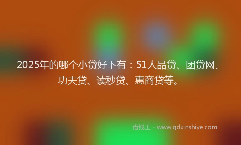 2025年的哪个小贷好下有：51人品贷、团贷网、功夫贷、读秒贷、惠商贷等。