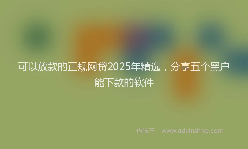 可以放款的正规网贷2025年精选，分享五个黑户能下款的软件