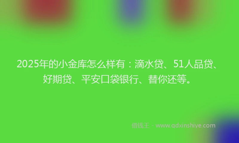 2025年的小金库怎么样有：滴水贷、51人品贷、好期贷、平安口袋银行、替你还等。