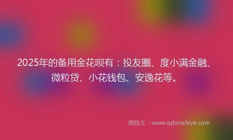2025年的备用金花呗有：投友圈、度小满金融、微粒贷、小花钱包、安逸花等。