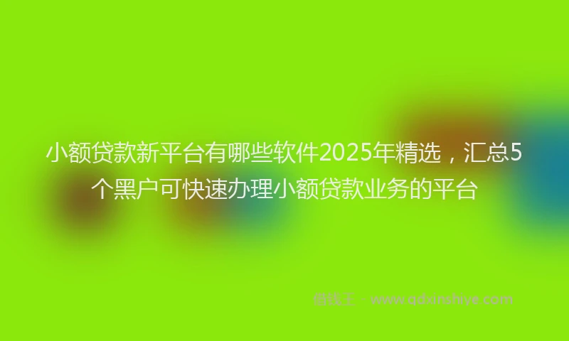 小额贷款新平台有哪些软件2025年精选，汇总5个黑户可快速办理小额贷款业务的平台