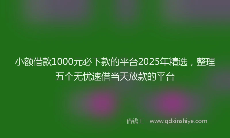 小额借款1000元必下款的平台2025年精选，整理五个无忧速借当天放款的平台