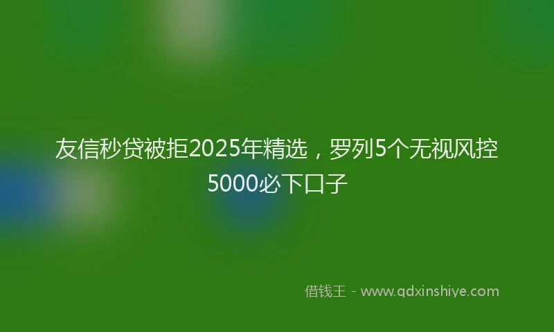 友信秒贷被拒2025年精选，罗列5个无视风控5000必下口子