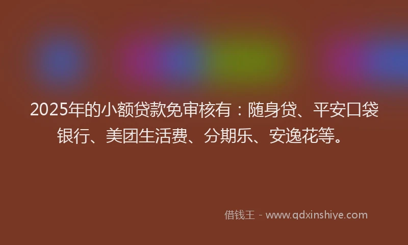 2025年的小额贷款免审核有：随身贷、平安口袋银行、美团生活费、分期乐、安逸花等。