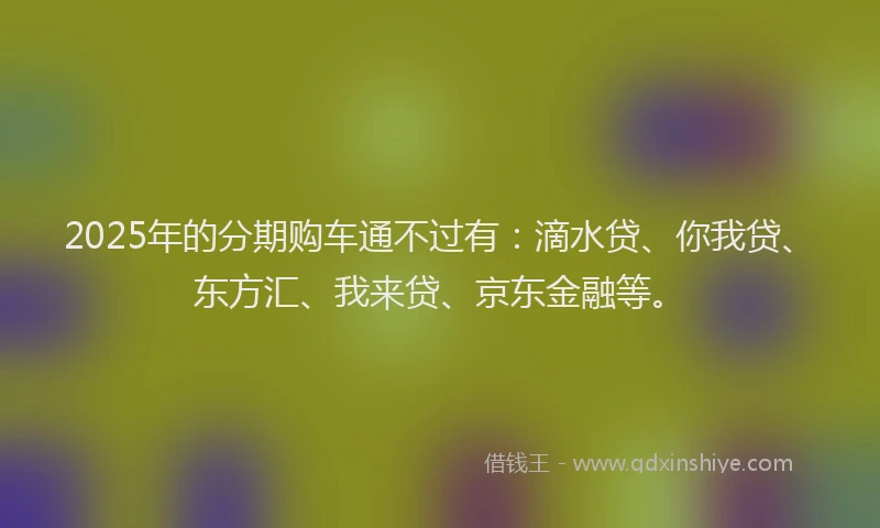 2025年的分期购车通不过有：滴水贷、你我贷、东方汇、我来贷、京东金融等。