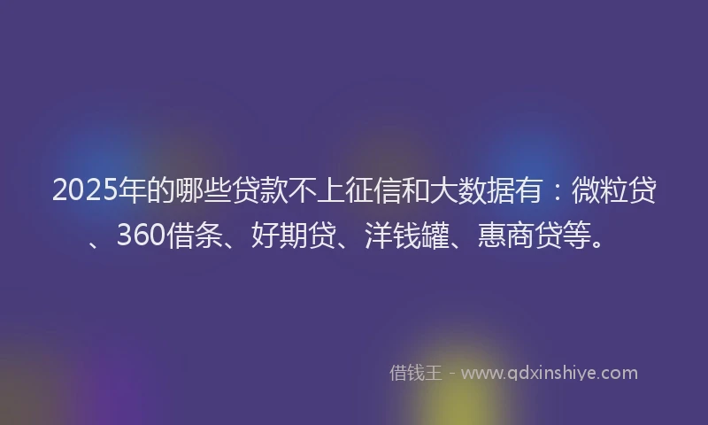 2025年的哪些贷款不上征信和大数据有：微粒贷、360借条、好期贷、洋钱罐、惠商贷等。
