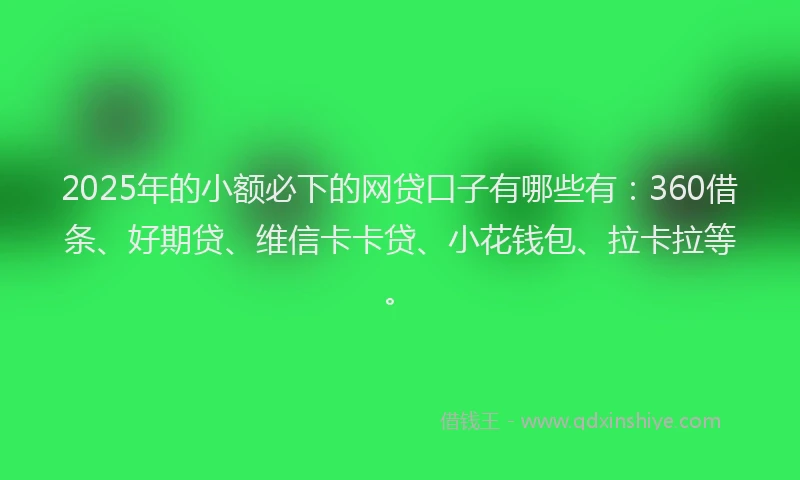 2025年的小额必下的网贷口子有哪些有：360借条、好期贷、维信卡卡贷、小花钱包、拉卡拉等。
