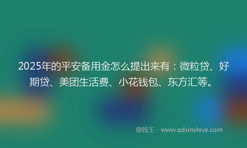 2025年的平安备用金怎么提出来有：微粒贷、好期贷、美团生活费、小花钱包、东方汇等。