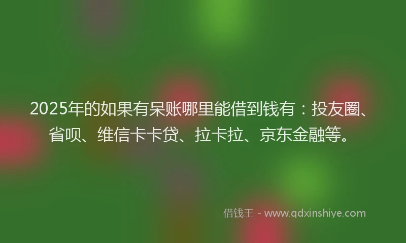 2025年的如果有呆账哪里能借到钱有：投友圈、省呗、维信卡卡贷、拉卡拉、京东金融等。