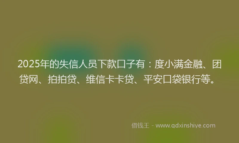 2025年的失信人员下款口子有：度小满金融、团贷网、拍拍贷、维信卡卡贷、平安口袋银行等。