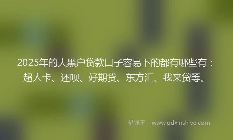 2025年的大黑户贷款口子容易下的都有哪些有：超人卡、还呗、好期贷、东方汇、我来贷等。