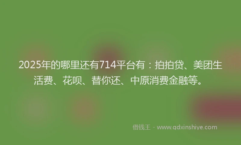 2025年的哪里还有714平台有：拍拍贷、美团生活费、花呗、替你还、中原消费金融等。