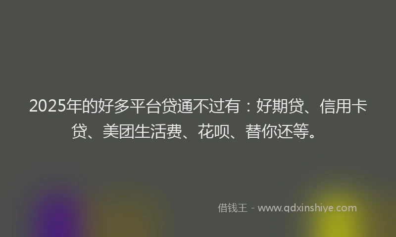 2025年的好多平台贷通不过有：好期贷、信用卡贷、美团生活费、花呗、替你还等。