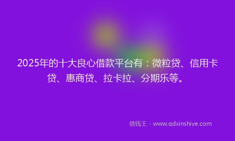2025年的十大良心借款平台有：微粒贷、信用卡贷、惠商贷、拉卡拉、分期乐等。