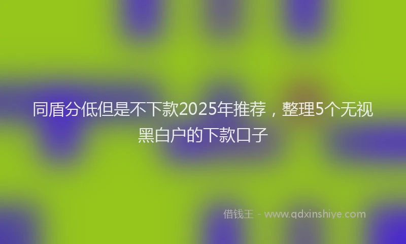 同盾分低但是不下款2025年推荐，整理5个无视黑白户的下款口子