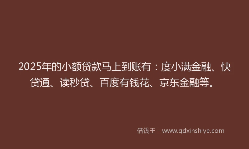 2025年的小额贷款马上到账有：度小满金融、快贷通、读秒贷、百度有钱花、京东金融等。