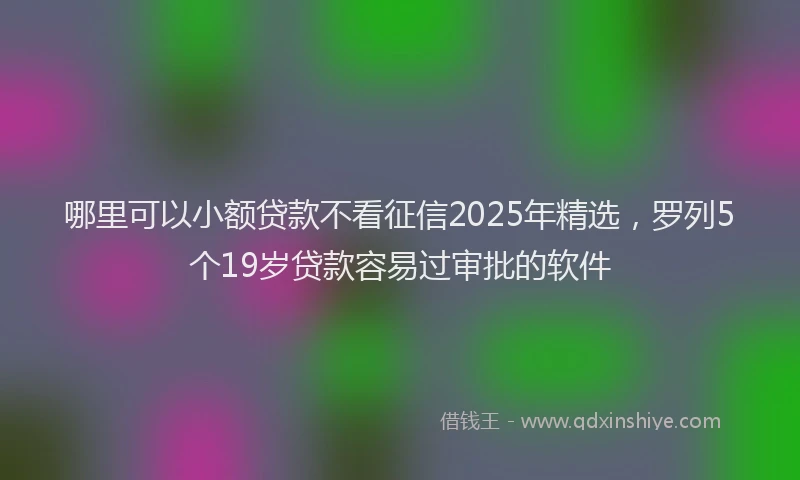 哪里可以小额贷款不看征信2025年精选，罗列5个19岁贷款容易过审批的软件