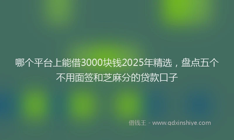 哪个平台上能借3000块钱2025年精选，盘点五个不用面签和芝麻分的贷款口子