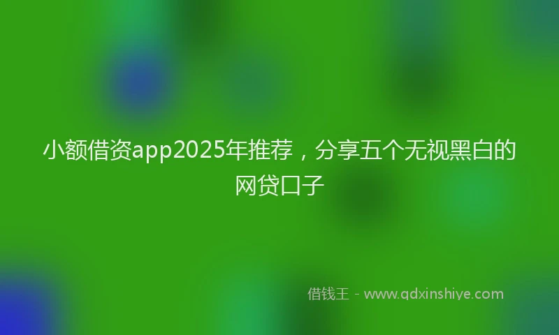 小额借资app2025年推荐，分享五个无视黑白的网贷口子