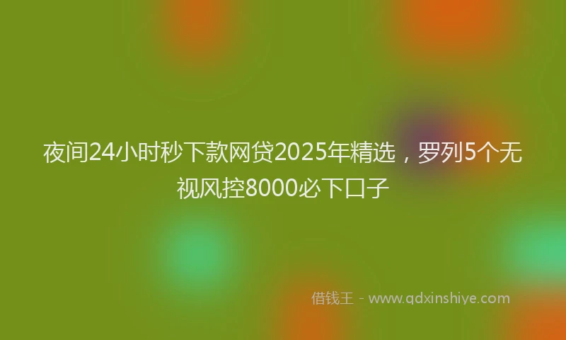 夜间24小时秒下款网贷2025年精选，罗列5个无视风控8000必下口子