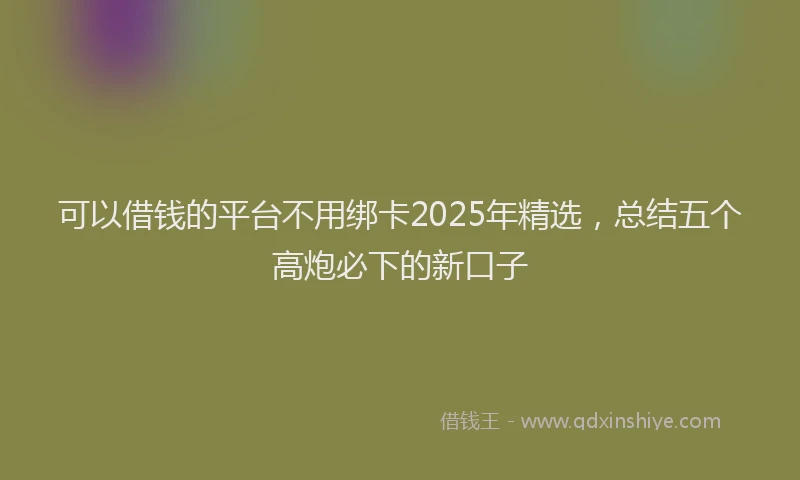 可以借钱的平台不用绑卡2025年精选，总结五个高炮必下的新口子