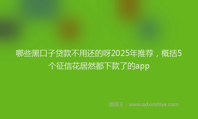 哪些黑口子贷款不用还的呀2025年推荐，概括5个征信花居然都下款了的app
