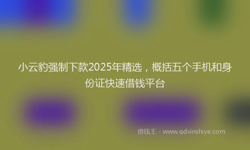 小云豹强制下款2025年精选，概括五个手机和身份证快速借钱平台