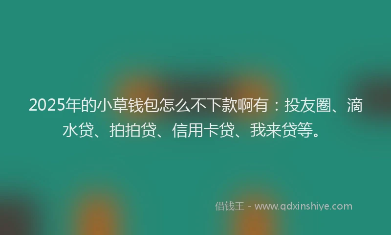 2025年的小草钱包怎么不下款啊有：投友圈、滴水贷、拍拍贷、信用卡贷、我来贷等。