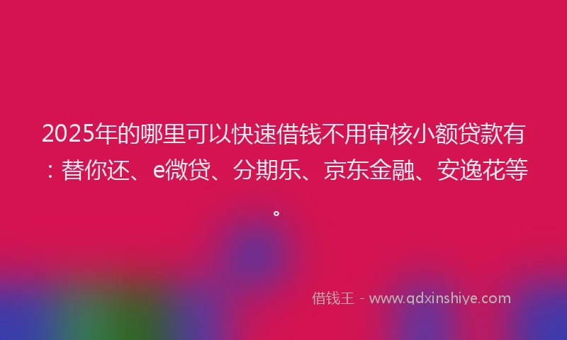 2025年的哪里可以快速借钱不用审核小额贷款有：替你还、e微贷、分期乐、京东金融、安逸花等。