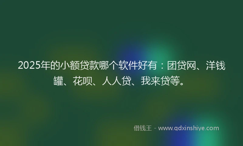 2025年的小额贷款哪个软件好有：团贷网、洋钱罐、花呗、人人贷、我来贷等。