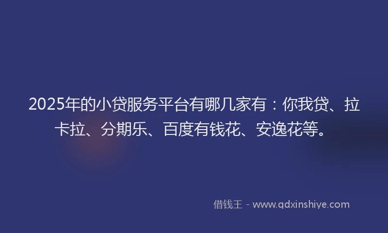 2025年的小贷服务平台有哪几家有：你我贷、拉卡拉、分期乐、百度有钱花、安逸花等。