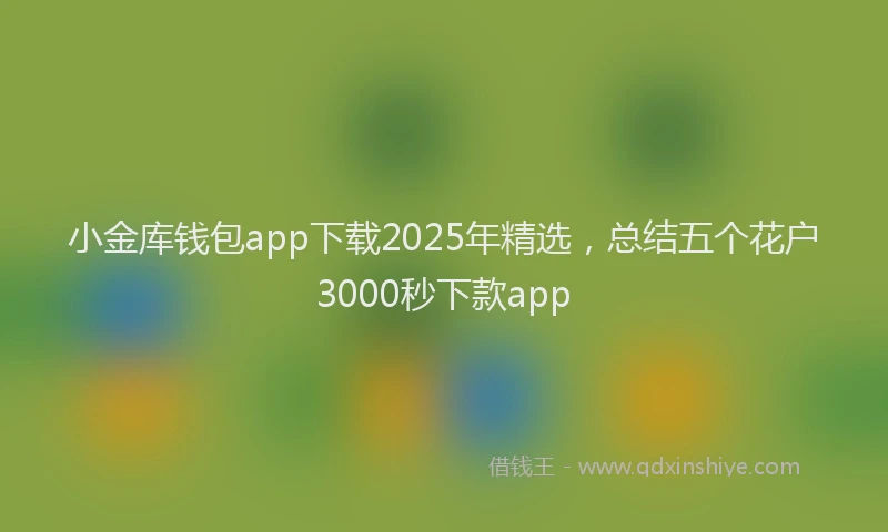 小金库钱包app下载2025年精选，总结五个花户3000秒下款app
