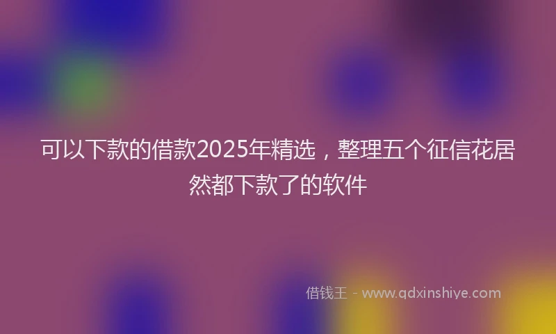 可以下款的借款2025年精选，整理五个征信花居然都下款了的软件