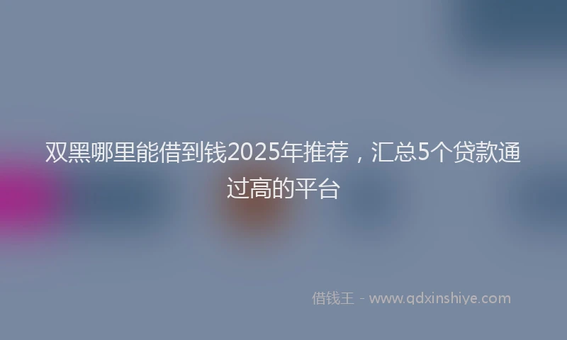 双黑哪里能借到钱2025年推荐，汇总5个贷款通过高的平台