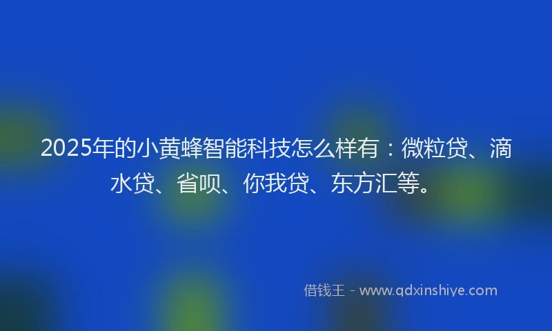 2025年的小黄蜂智能科技怎么样有：微粒贷、滴水贷、省呗、你我贷、东方汇等。