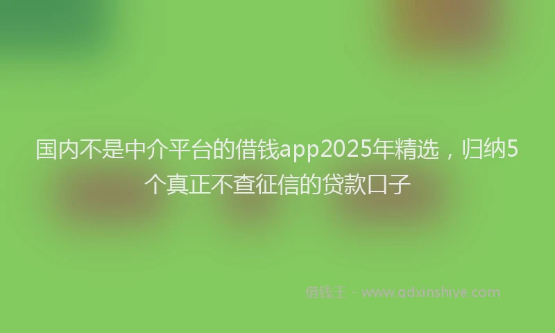 国内不是中介平台的借钱app2025年精选，归纳5个真正不查征信的贷款口子