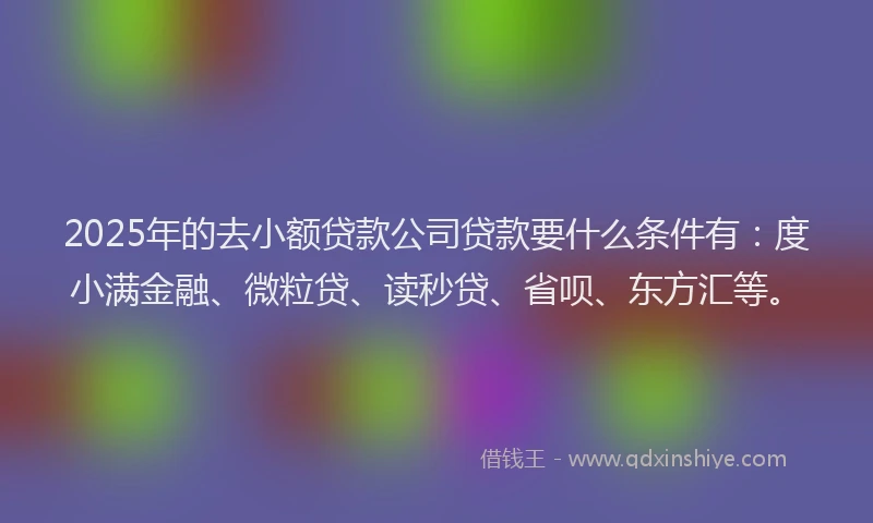 2025年的去小额贷款公司贷款要什么条件有：度小满金融、微粒贷、读秒贷、省呗、东方汇等。
