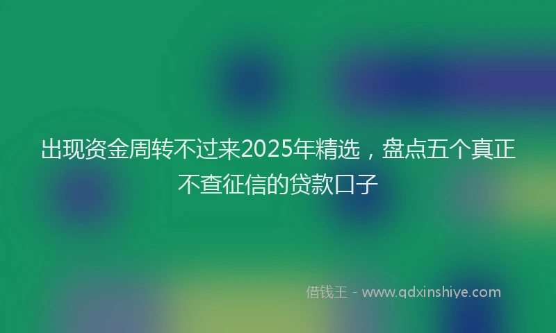 出现资金周转不过来2025年精选，盘点五个真正不查征信的贷款口子