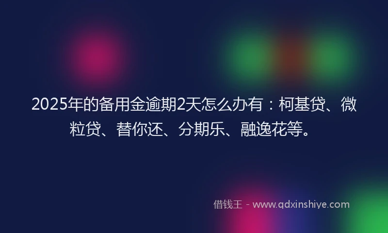 2025年的备用金逾期2天怎么办有：柯基贷、微粒贷、替你还、分期乐、融逸花等。