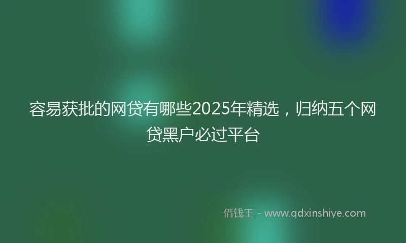 容易获批的网贷有哪些2025年精选，归纳五个网贷黑户必过平台
