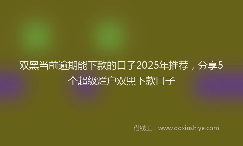 双黑当前逾期能下款的口子2025年推荐，分享5个超级烂户双黑下款口子