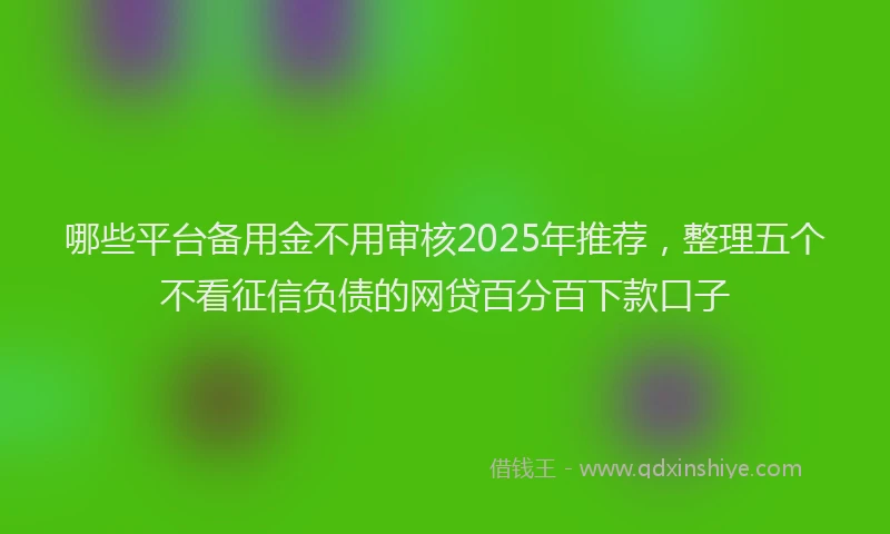 哪些平台备用金不用审核2025年推荐，整理五个不看征信负债的网贷百分百下款口子