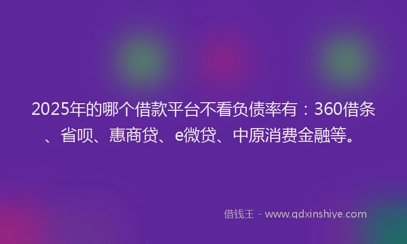 2025年的哪个借款平台不看负债率有：360借条、省呗、惠商贷、e微贷、中原消费金融等。